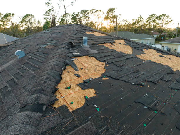 Best Gutter Installation and Repair  in Greenville, NC