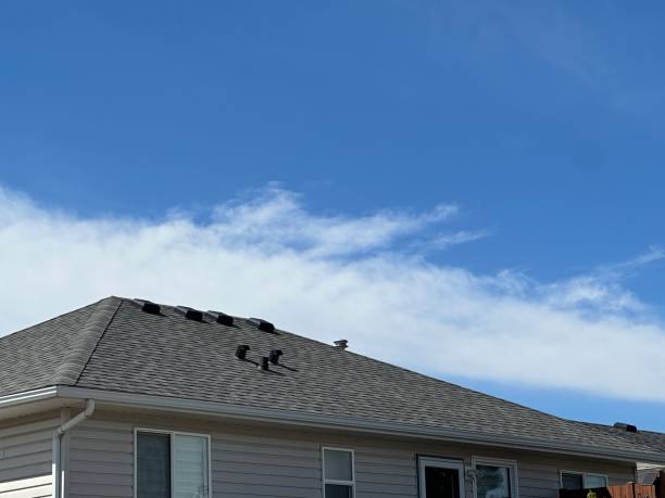 Best Gutter Installation and Repair  in Greenville, NC